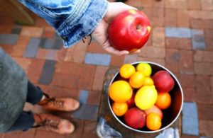 close up photo of a bucket with assorted fruits and a hand holding an apple Nutrition