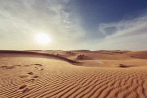 Desert dunes Desert Locust climate