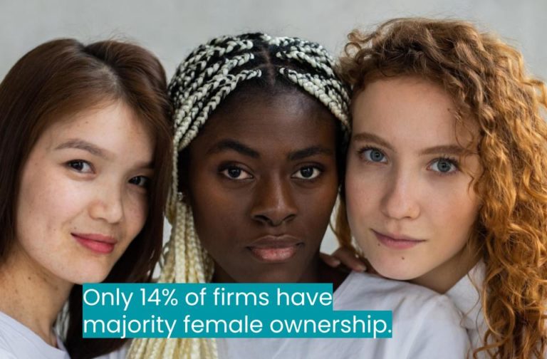 Workplace equality. Only 14% of firms have majority female ownership