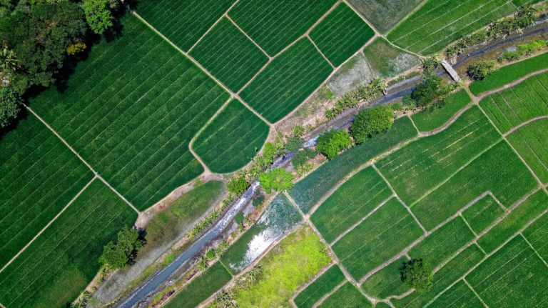 Overview of crops with small river