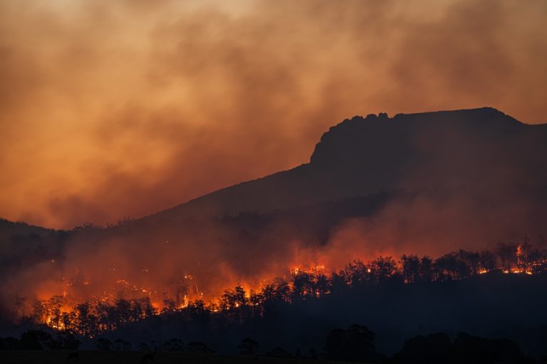 Forest on fire, climate change