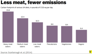 World Vegan Day: The Celebrated, The Hidden, and The Path Forward