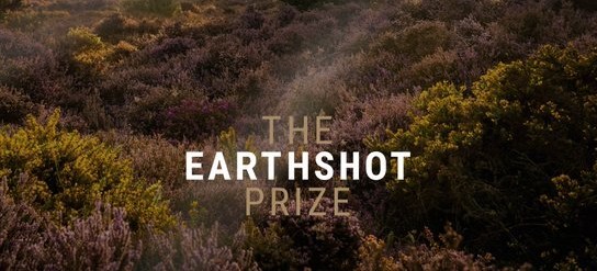 The earth shot prize