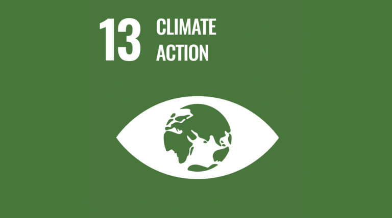 SDG 13 Climate Action