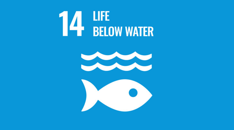SDG 14- Life Below Water