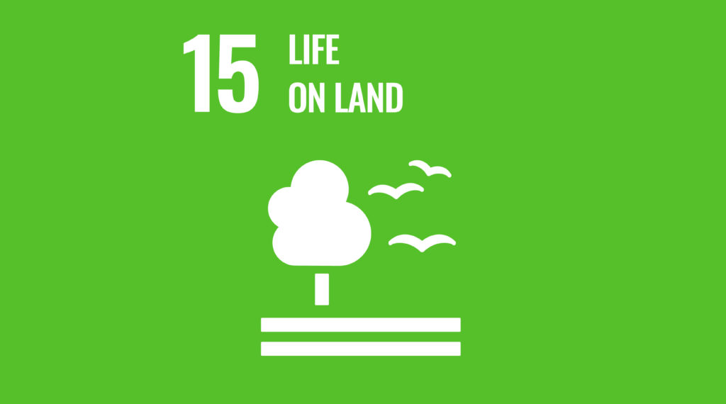 SDG 15 - Life on Land banner
